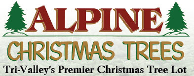 Tri-Valley's Premier Christmas Tree Lot